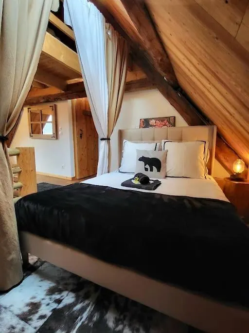 Le Cosy Lodge Departs Ski Alpe D'Huez 2 Alpes La Grave Et Col D'Ornon Detente Jacuzzi Piscine Sauna Bar Billard Le Bourg-d'Oisans
