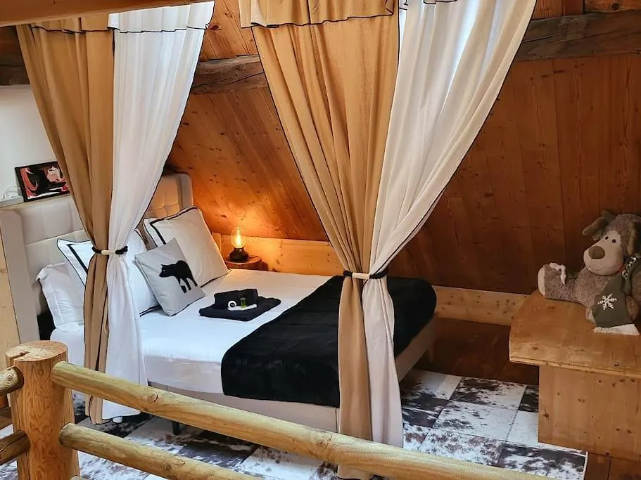 Chalet Le Cosy Lodge Departs Ski Alpe D'Huez 2 Alpes La Grave Et Col D'Ornon Detente Jacuzzi Piscine Sauna Bar Billard Le Bourg-d'Oisans France