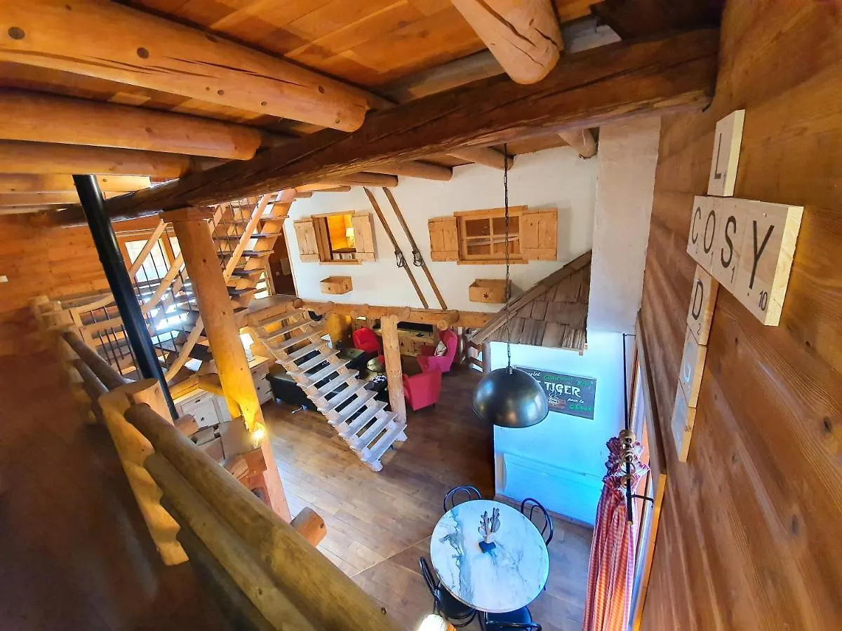Le Cosy Lodge Departs Ski Alpe D'Huez 2 Alpes La Grave Et Col D'Ornon Detente Jacuzzi Piscine Sauna Bar Billard Le Bourg-d'Oisans Chalet