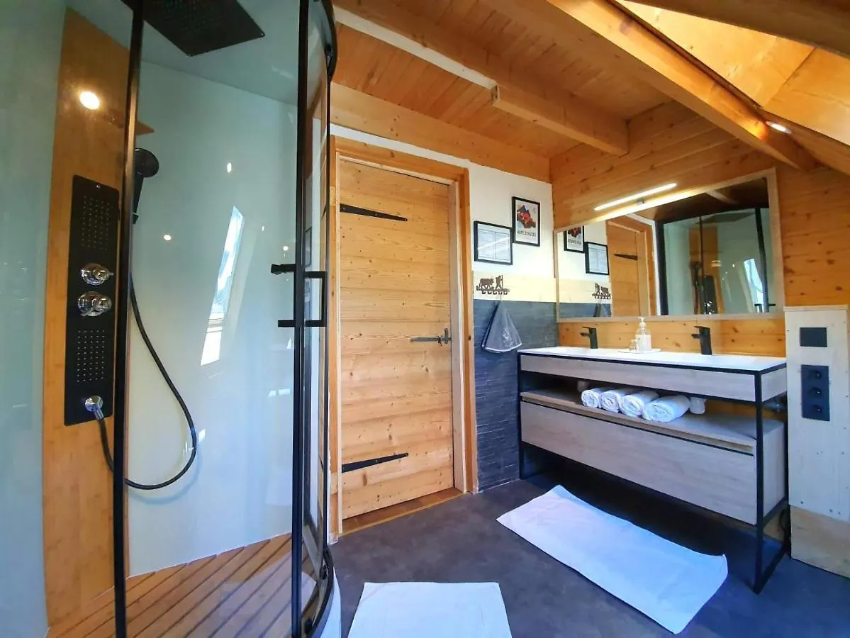 Chalet Le Cosy Lodge Departs Ski Alpe D'Huez 2 Alpes La Grave Et Col D'Ornon Detente Jacuzzi Piscine Sauna Bar Billard Le Bourg-d'Oisans France