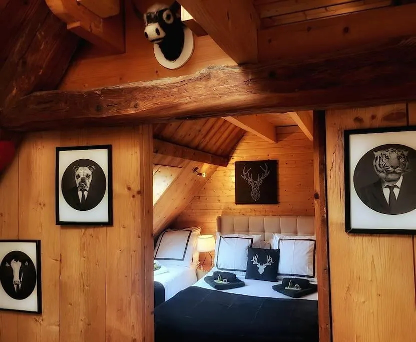 Le Cosy Lodge Departs Ski Alpe D'Huez 2 Alpes La Grave Et Col D'Ornon Detente Jacuzzi Piscine Sauna Bar Billard Le Bourg-dʼOisans